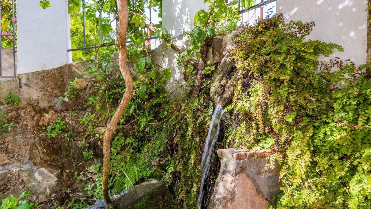 Molino Maroto Alhaurin El Grande By Ruralidays Villa Bagian luar foto